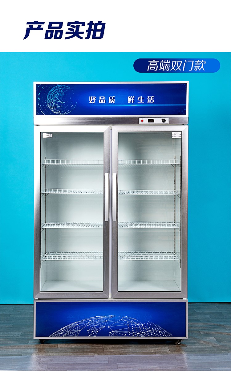 冷藏柜 展示柜 保鲜柜 立式双门铜管商用饮料冷饮蔬菜水果柜冰柜弭黎