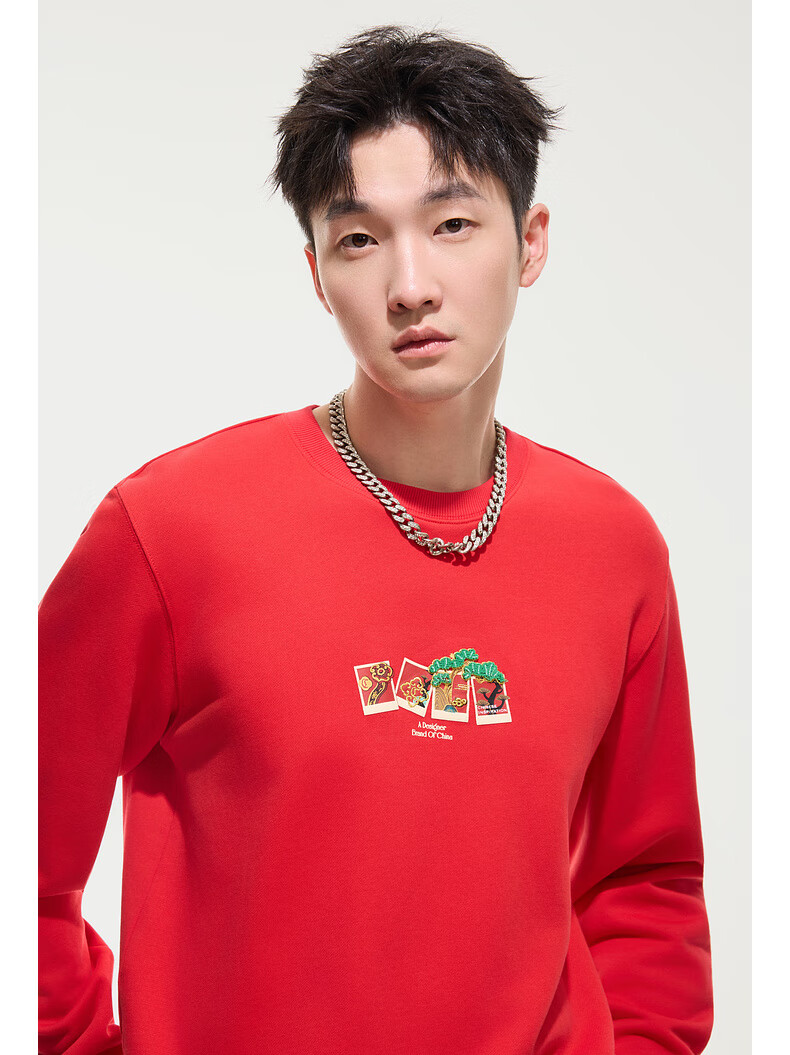 CABBEEN [340G Pure Cotton Sweatshirt] Men's Metal Thread Embroidery Sweatshirt, Comfortable Soft Warm Autumn Long-Sleeve Sweatshirt 2