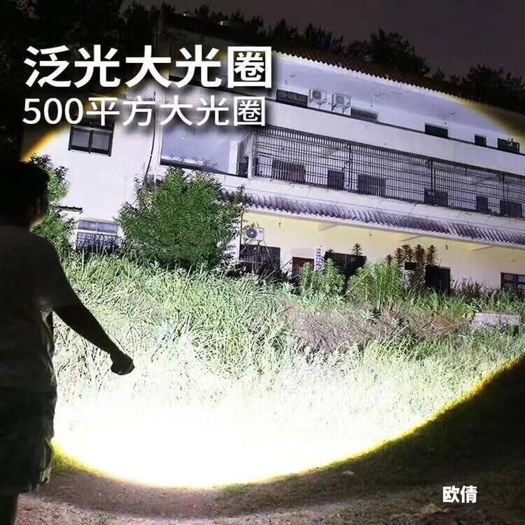 2d31dd4e03c6374a.jpg