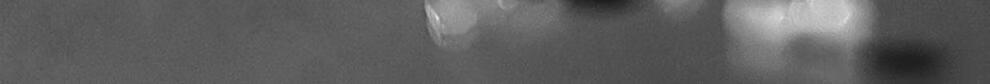3ae3cefe79656122.jpg