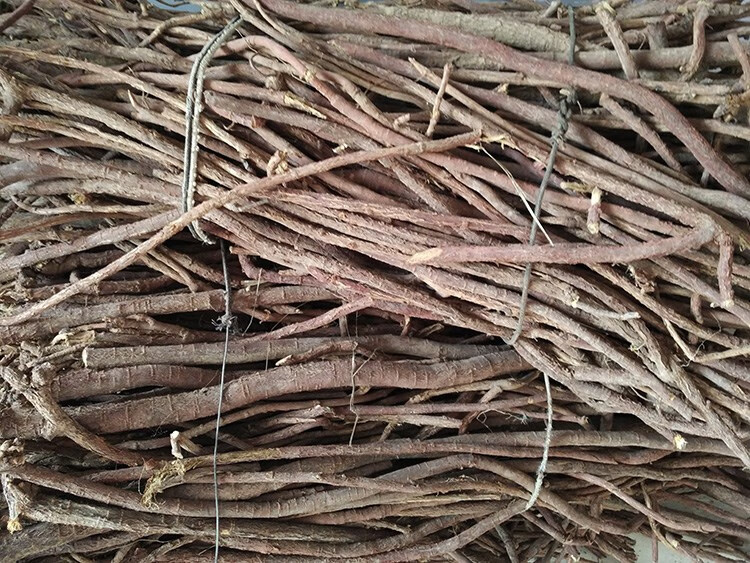 甘草正宗圆根条宁夏甘草棒茶原产地道地野生中药材甘甜泡水茶 红色