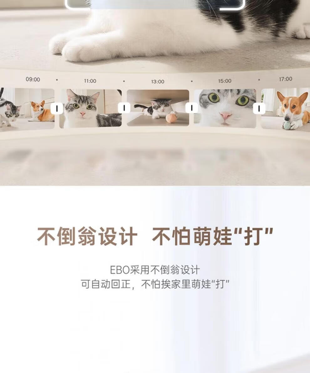 a6d2536fa839a7d6.jpg