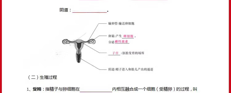 3bb88d17460cc860.png