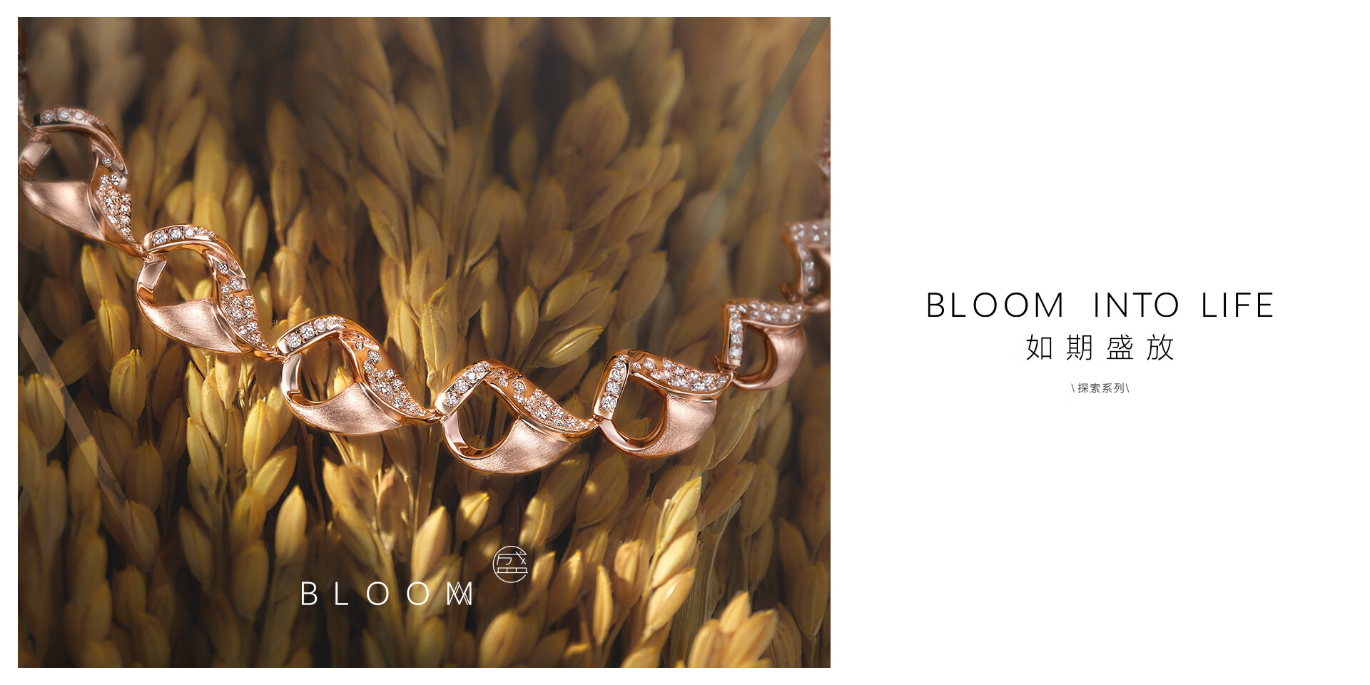 bloom_pc1_01.jpg