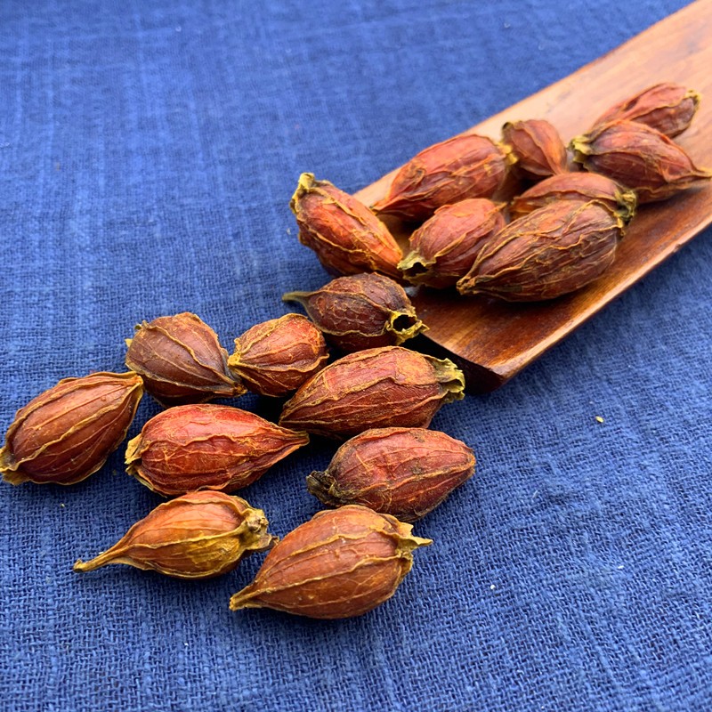 贺诚堂 栀子中药材500克新货山栀子黄栀子 1000克