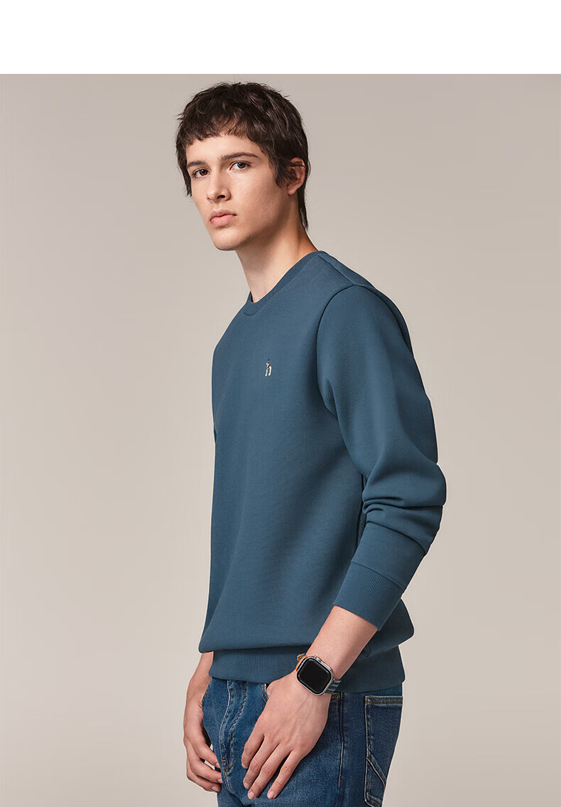 HAZZYS Men's Spring and Autumn Casual Cotton Long Sleeve Pullover Sweatshirt ABTZE0CCX32 9