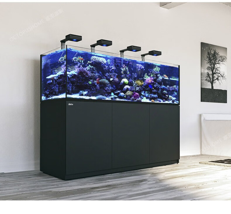 以色列紅海redsea reefer g2珊瑚水族箱海水魚缸礁岩生態系統魚缸