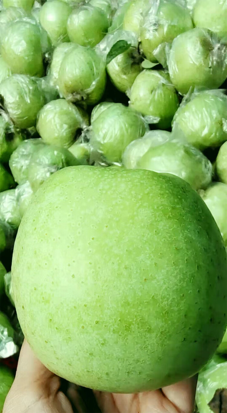 玉林青苹果 现摘王林苹果雀斑美人新鲜当季整箱青苹果自家现货农产品9