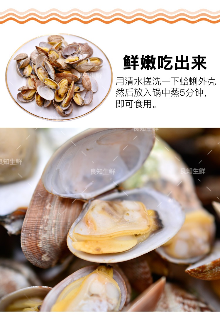 商品名称:良知农哥 顺丰 花甲 新鲜冷冻蛤蜊大花蛤蜊贝类海鲜 1