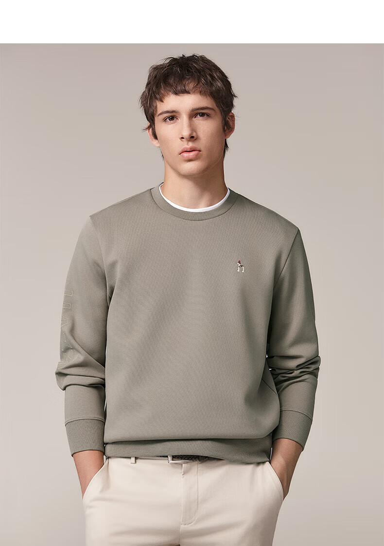 HAZZYS Men's Spring and Autumn Casual Cotton Long Sleeve Pullover Sweatshirt ABTZE0CCX32 13