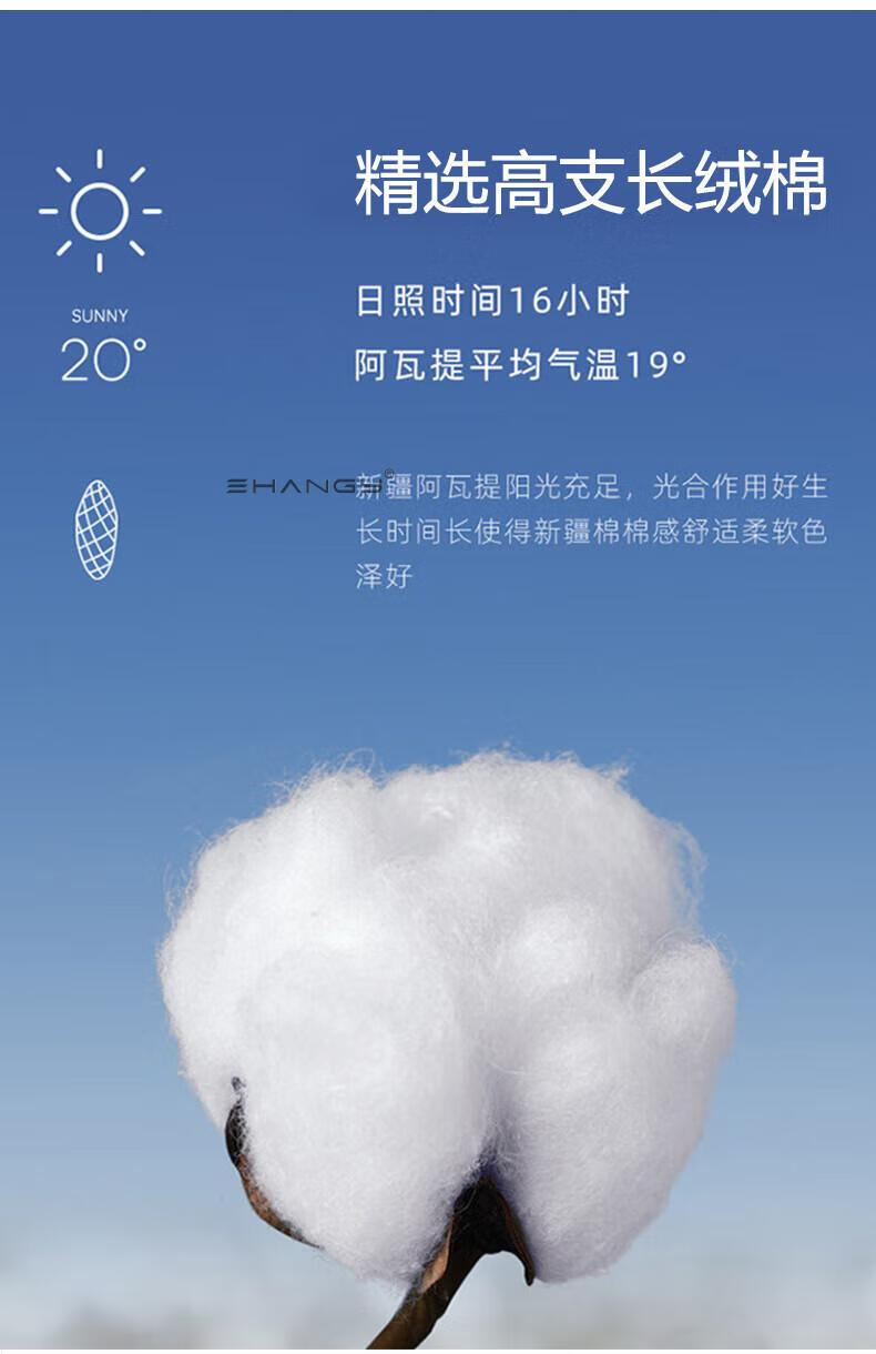 e3f77e32453af628.jpg