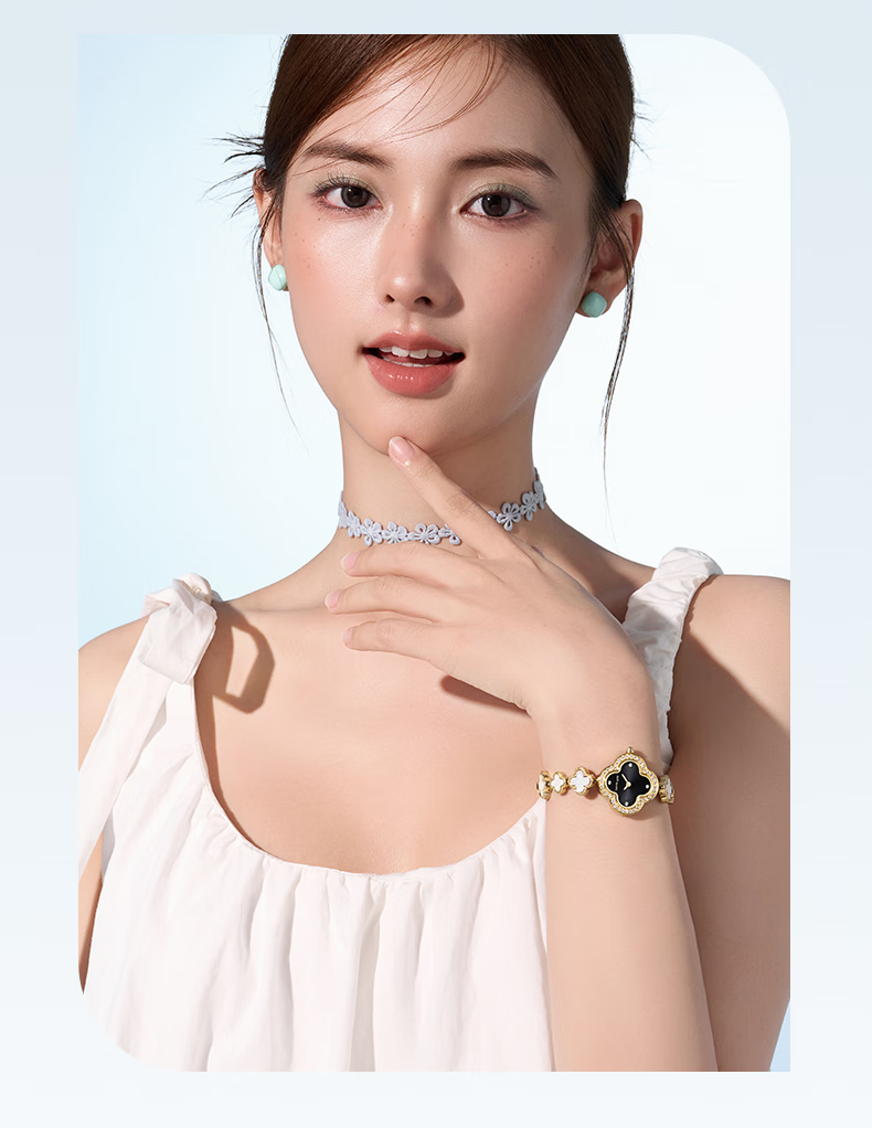 Darwin Core Daiwenke Xiaojinlan Silver White Dial Watch New Year Gift 2