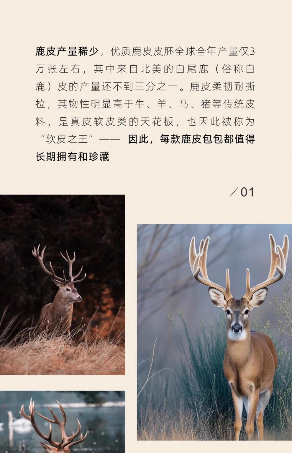 23d31b74c855ac90.jpg