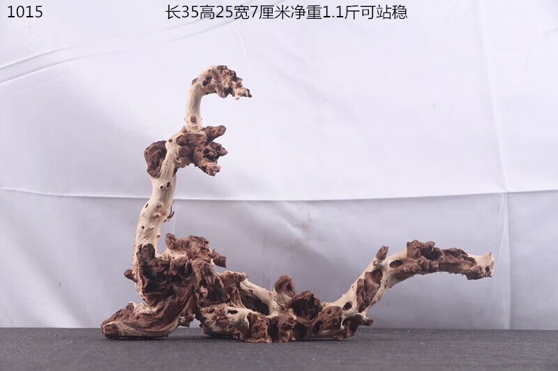 c39100f7862cc8aa.jpg