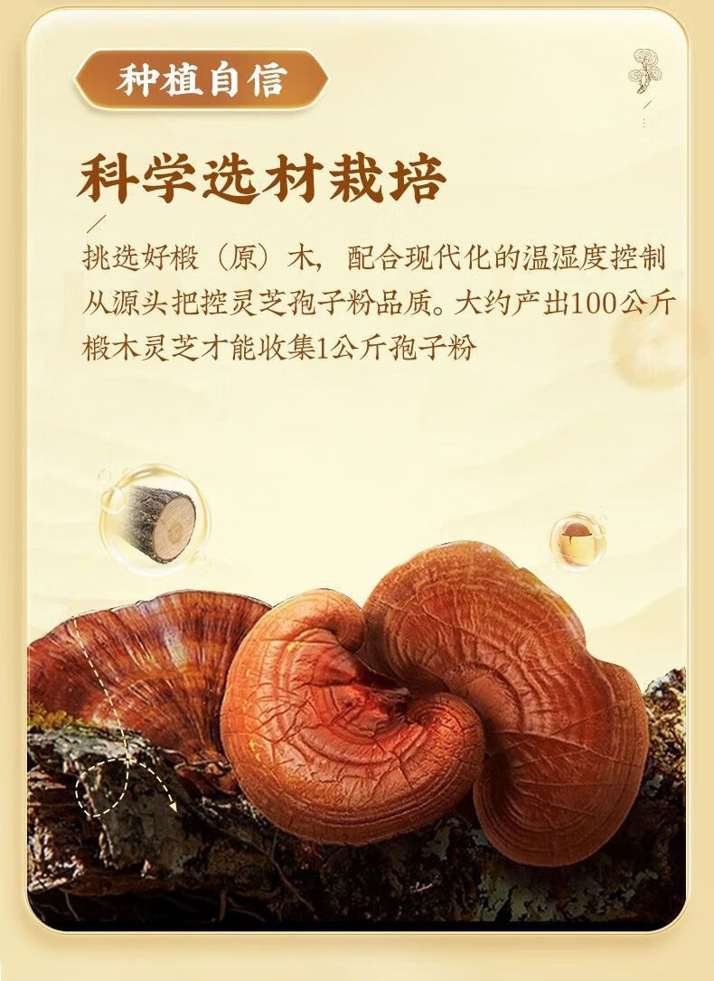 6839a92805b41e9f.jpg