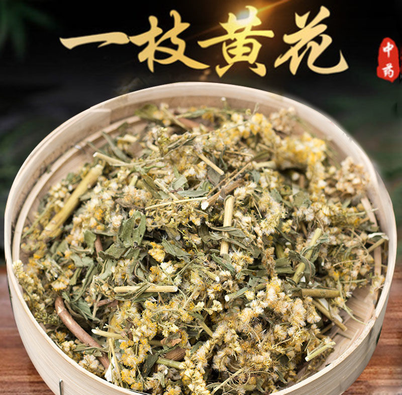 北京同仁堂原料野生一枝黄花 中草药新鲜干货黄花草 中草药老虎尿中