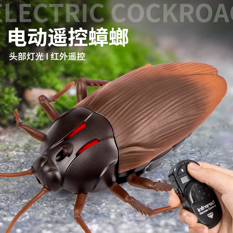 83dd9b283d751371.jpg