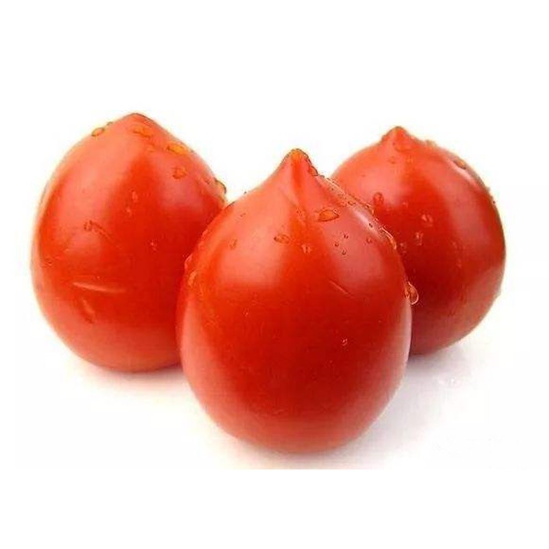 民汇园番茄种子黄金彩番茄彩色番茄芒果黄番茄日本小粉桃番茄圣女果桃