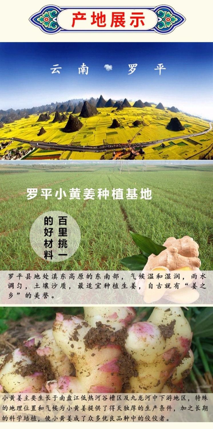 云南小黄姜粉干姜粉食用生姜粉特级老姜粉调料原始泡水冲饮 250克【送