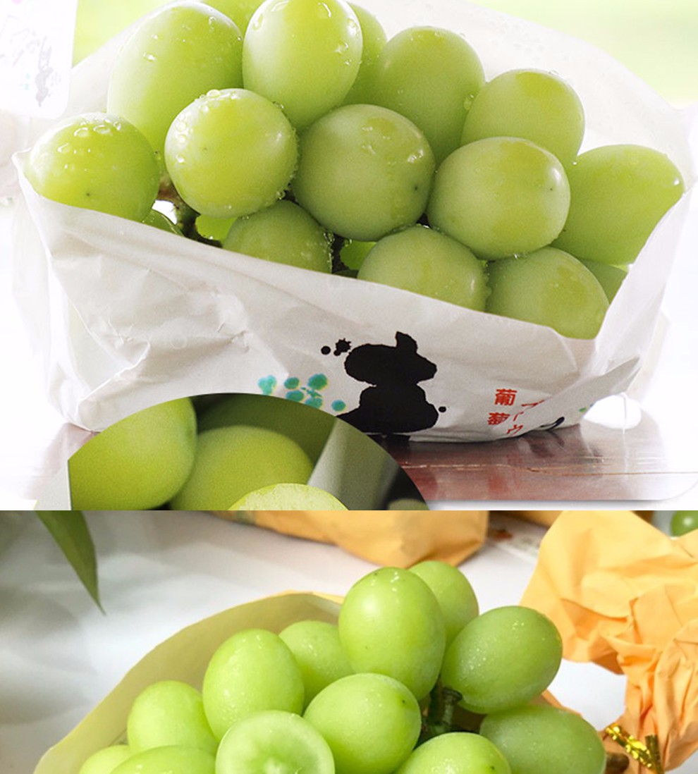 阳光玫瑰葡萄 新鲜日本品种晴王香印提子青提 现摘新鲜水果 【精美