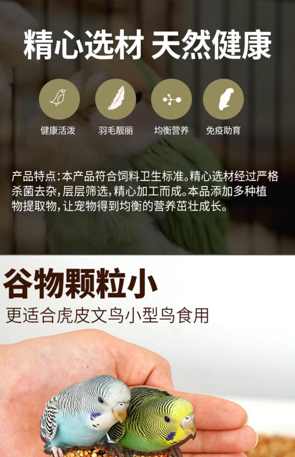 b8e0787ebbe68a2b.jpg