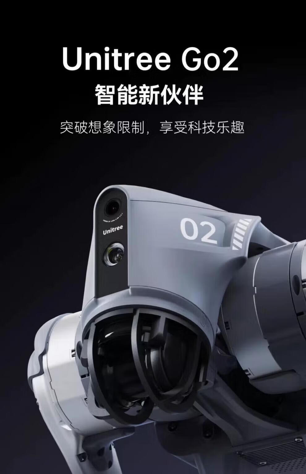 d02874e54c74de2e.jpg