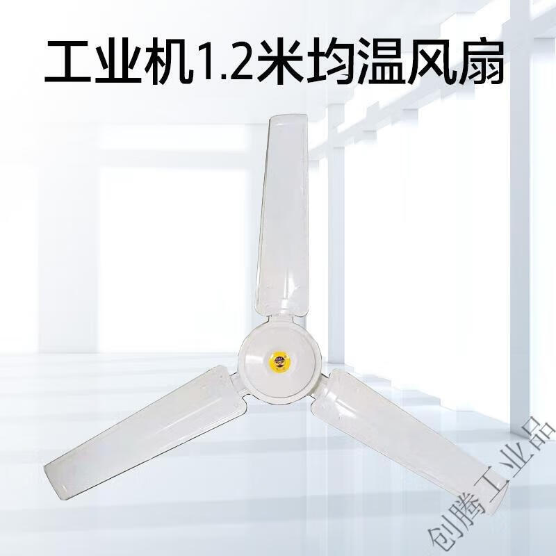 6a6435a70303fb30.jpg