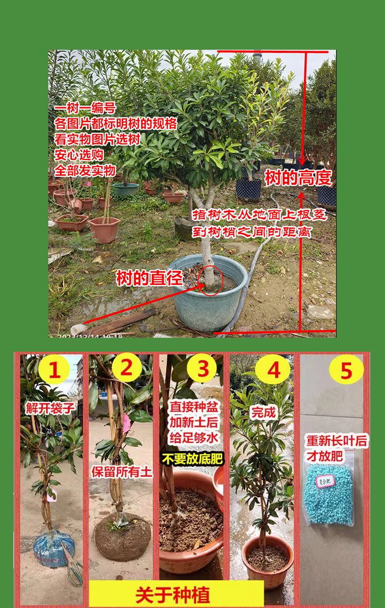 自定义 20220307