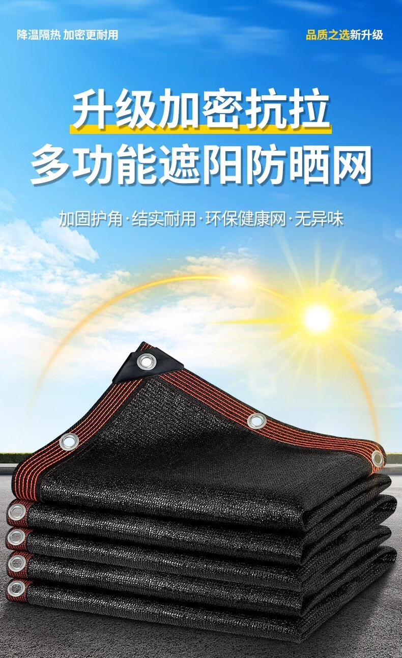 8818e9fb1b1a2035.jpg