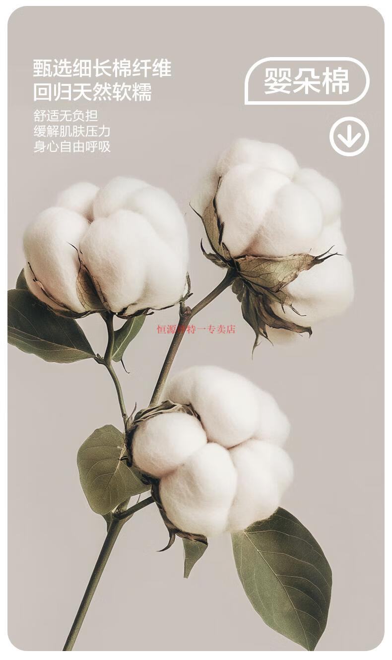 a92cdd2dfbd0a912.jpg