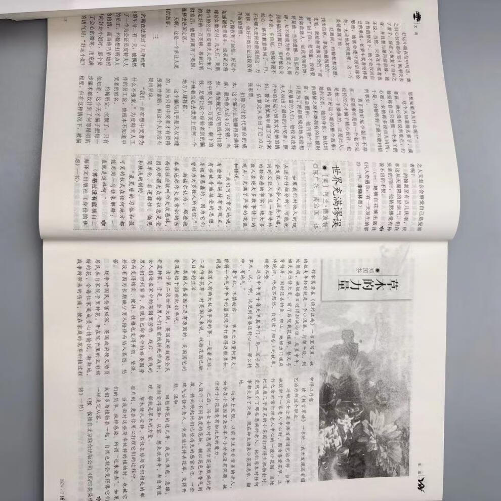 ae3668488d34b895.jpg
