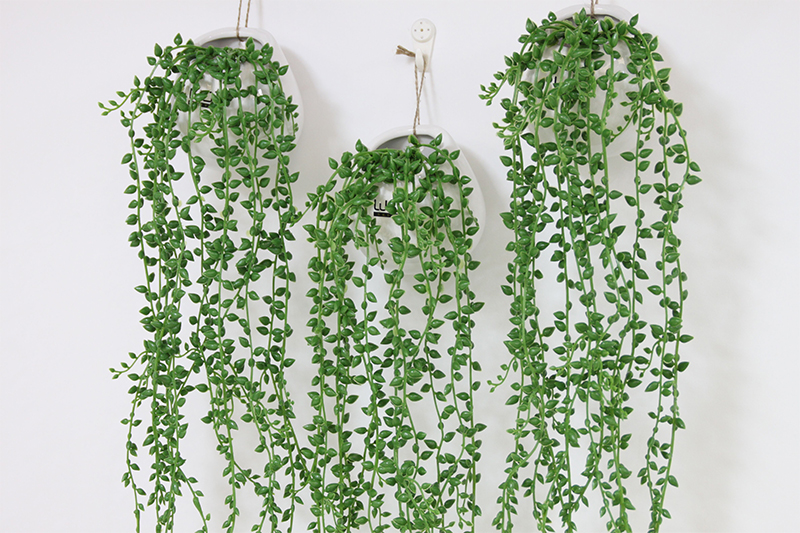 wo 仿真花假花情人泪佛珠墙面装饰花挂墙壁吊兰现代时尚简约 (挂墙