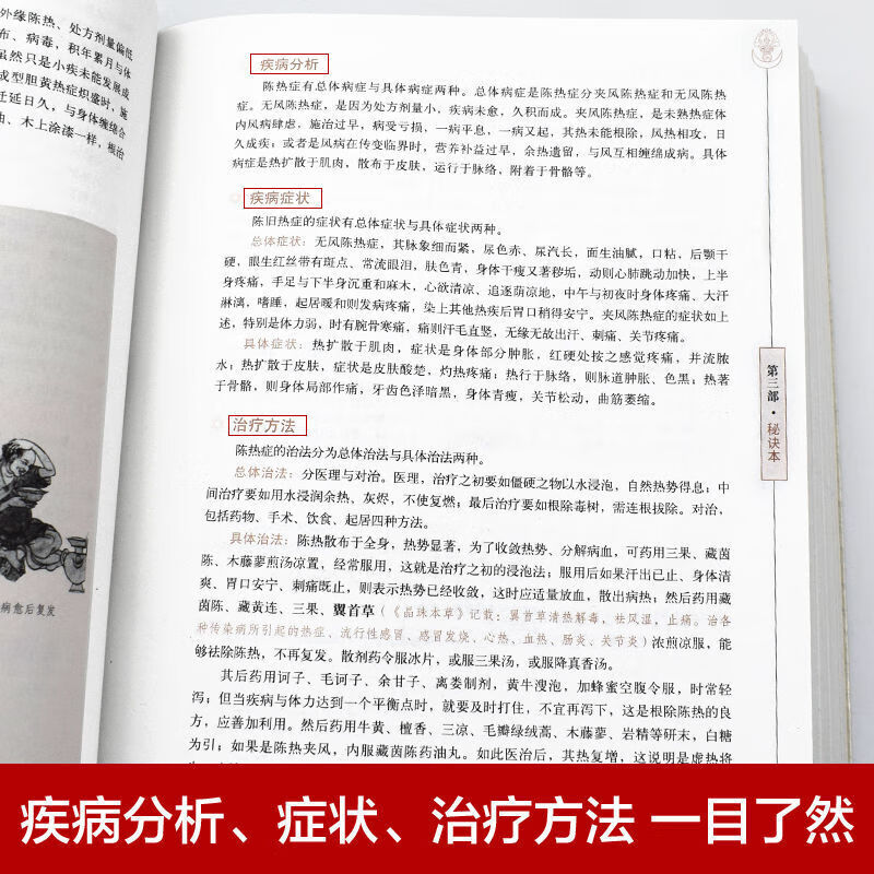002fe2ebcd01750b.jpg