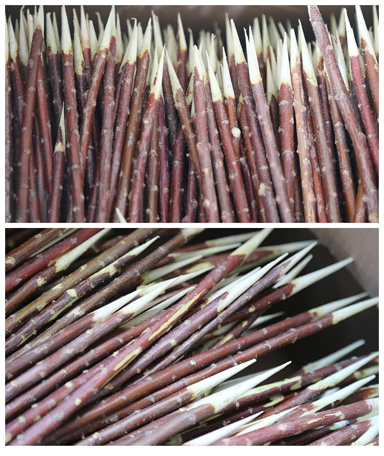 翱天下 新疆红柳枝羊肉串烧烤签子红柳烤肉签子红柳枝签子竹签商用 30