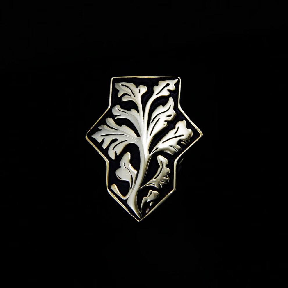 232d080c7ecab7b7.jpg
