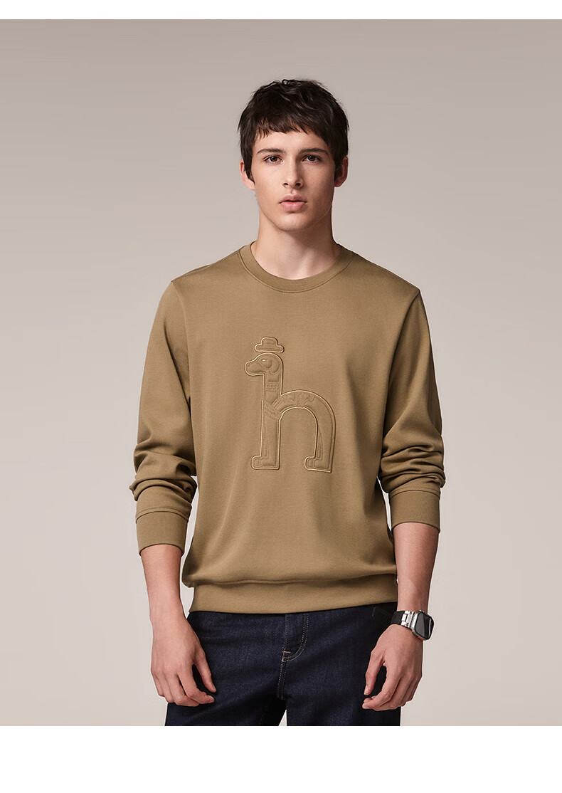 HAZZYS Men's Long-Sleeve Clothing, Casual Men's Top, Round Neck Sweatshirt for Men, ABTZE0CCF02, Camel Color, Size M 6