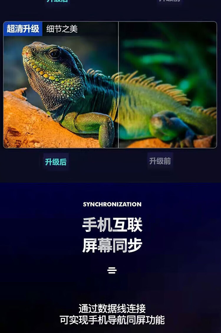 b81a4405debd8871.jpg