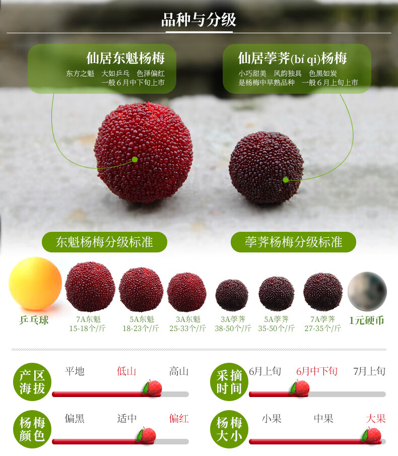 新鲜杨梅仙居东魁杨梅新鲜水果非浮宫慈溪 5a 3kg 礼盒装【图片 价格