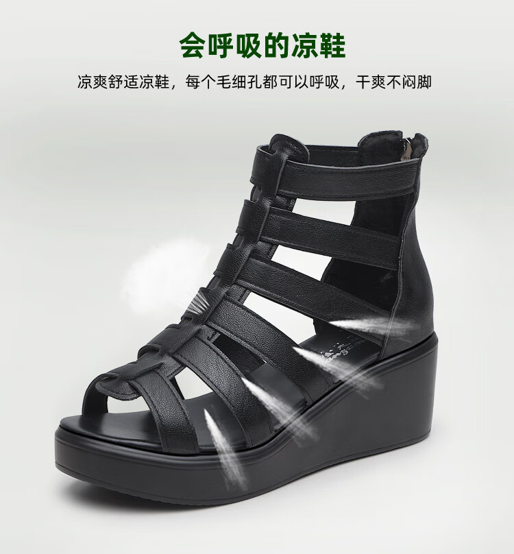 d38e58b7cbf7fc95.jpg