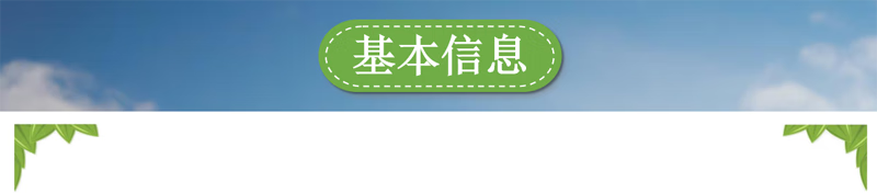 416201c12210780e.png