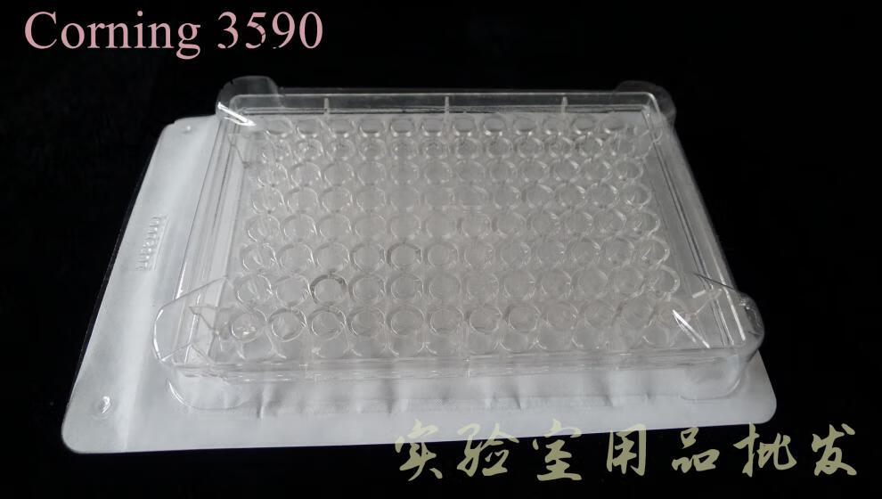 e20f6ebe23735d55.jpg