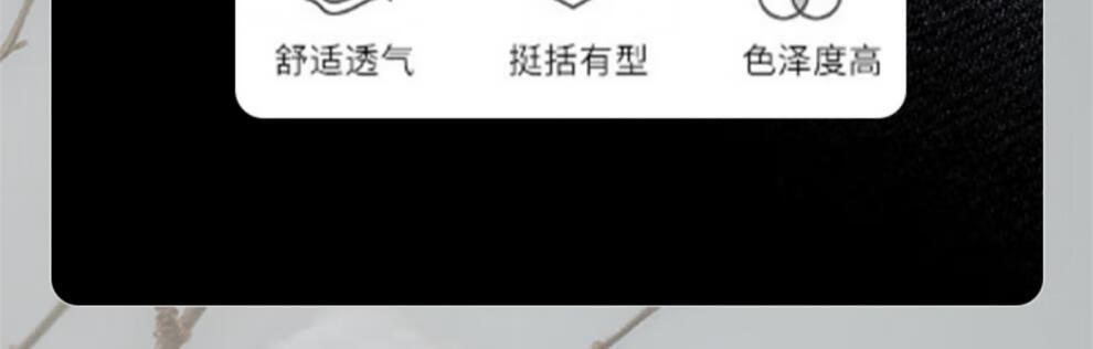 99bcc9e262cc4937.jpg