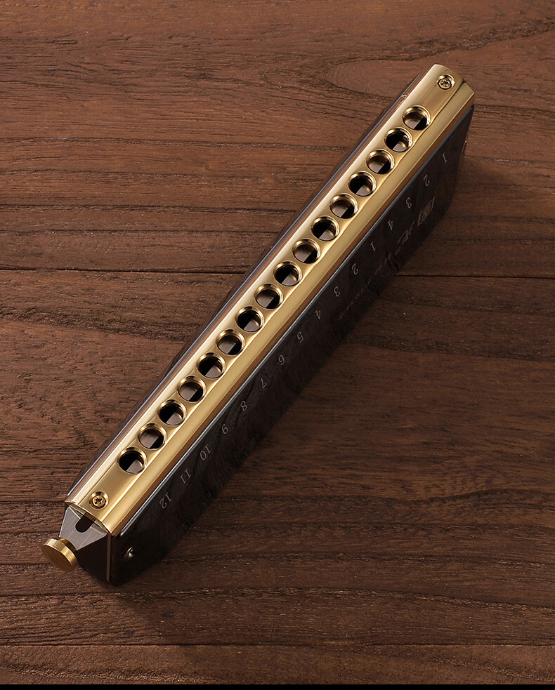 孔半音阶圆吹口琴成人国之梦12.孔专业演奏级乐器 黑色【12.