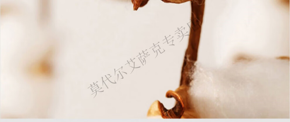 7bf1a81f57f3ea59.jpg