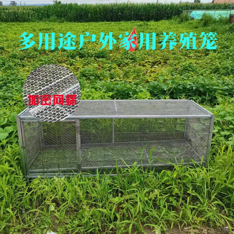 415cb5dc11339125.jpg