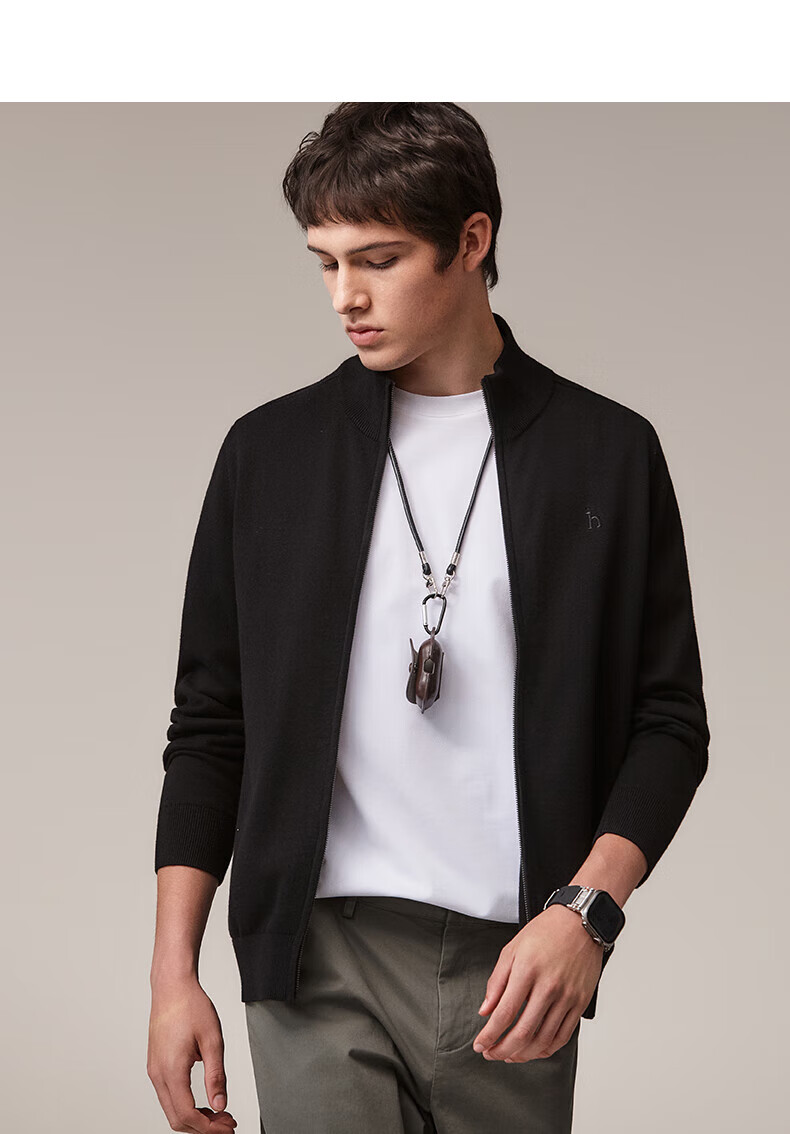 HAZZYS Men's Spring and Autumn Casual Stand Collar Zipper Pure Cotton Knit Cardigan ABYZD0CCX25 12