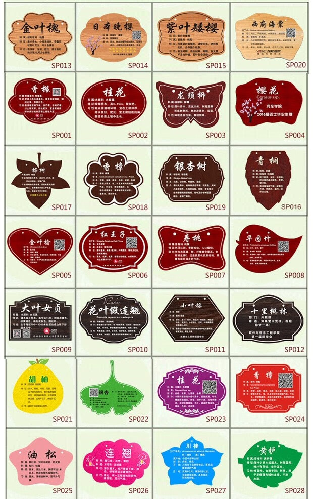 花草挂牌悬挂树牌树木简介警示等植物解说介绍牌植物园白皮松 红色