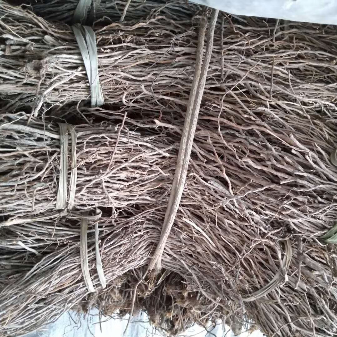 官方旗舰陕西秦岭野生威灵仙新鲜威灵仙干货山辣椒秧根威灵仙根500g