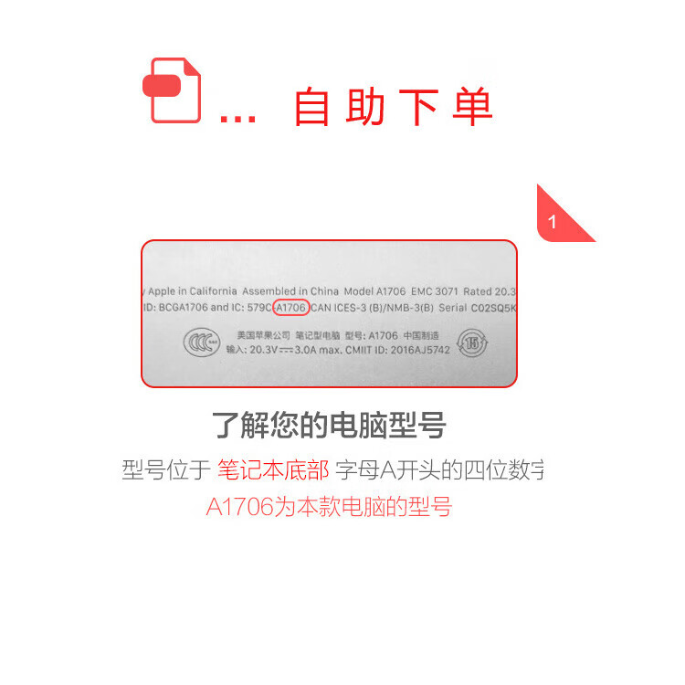 09e8a808cf70c7cb.jpg