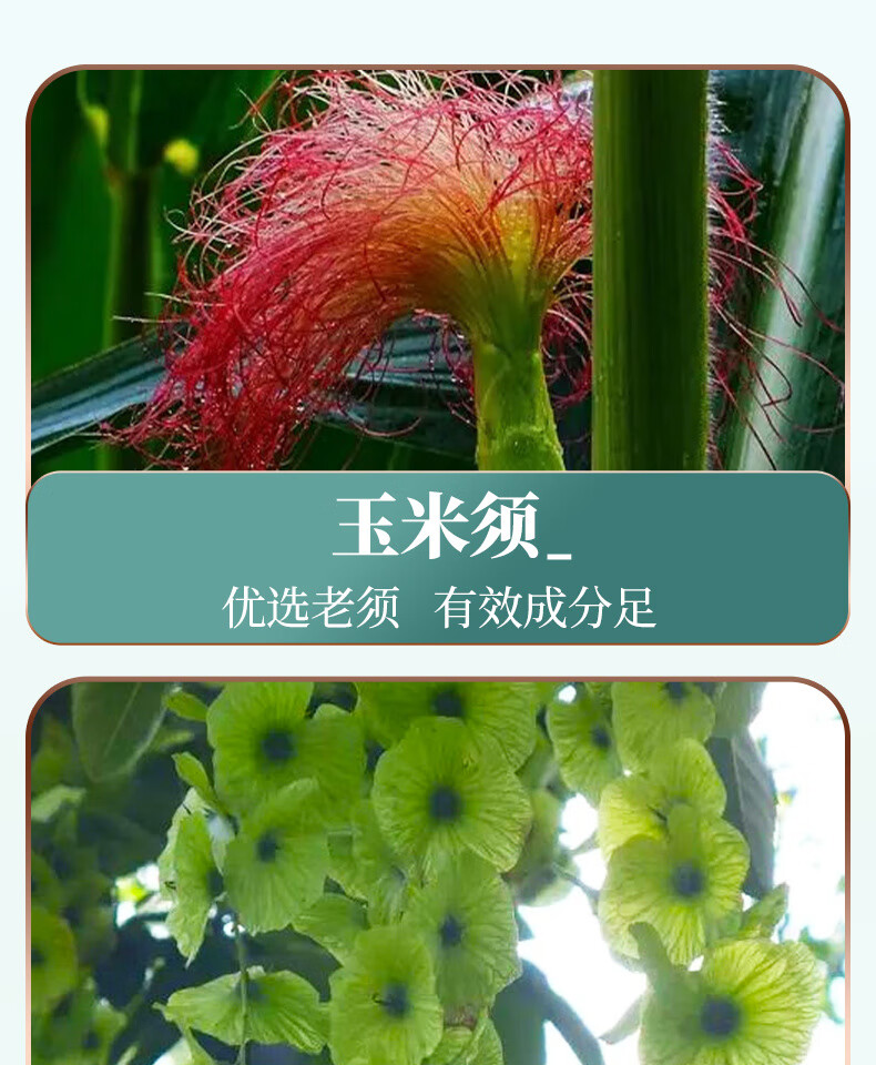 09efc0037a4c8e82.jpg' style=